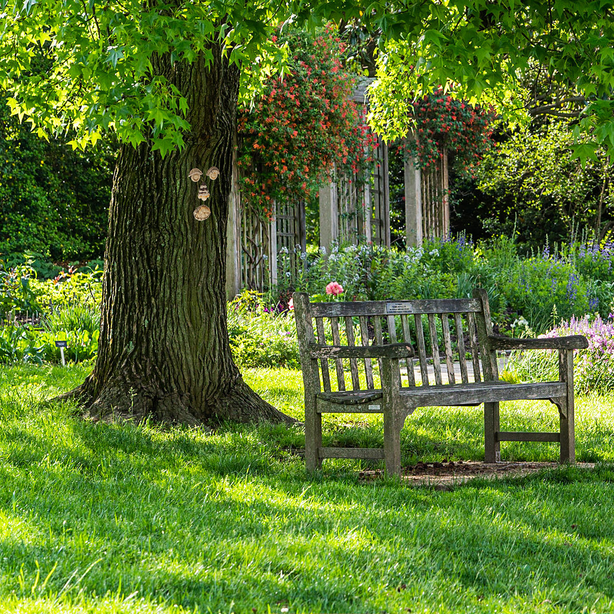 BAUMGESICHT - Multicolor, Kunststoff (6.5/8/2cm) - Relaxdays