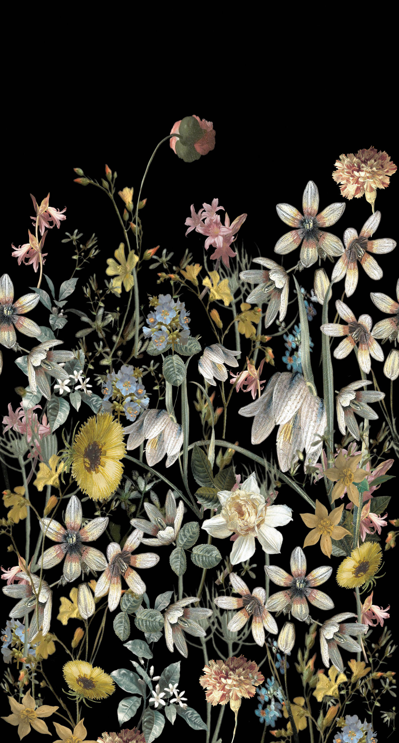 FOTOTAPETE Feldblumen 150 x 279 cm - Schwarz, Papier (150/279cm) - ESTAhome