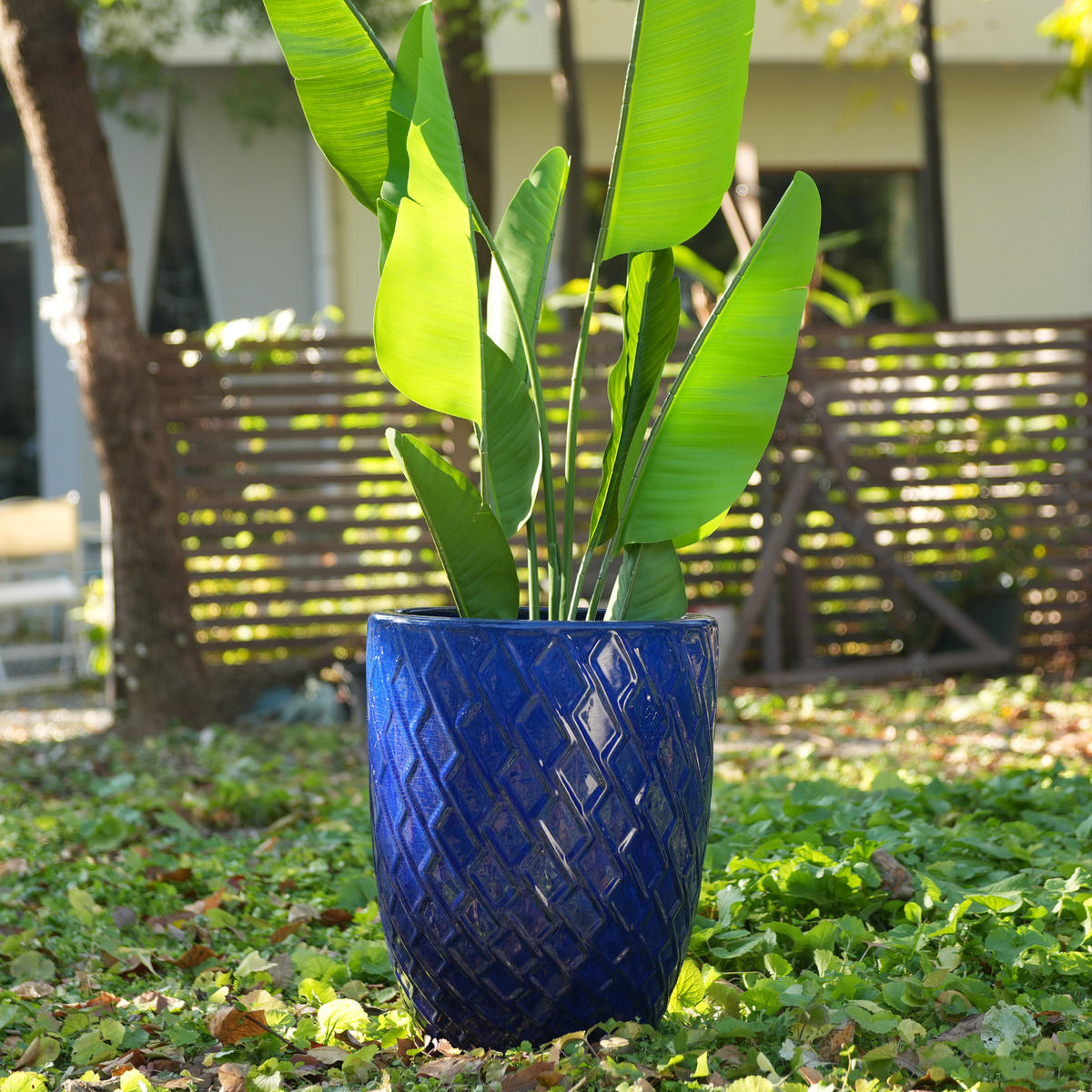 KERAMIKBLUMENTOPF, groß, 42×54cm, rautenförmig, königsblau - Blau, Keramik (42/54/42cm) - Vallsero