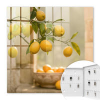 SCHLÜSSELBOX Weiß 30x30 cm – Türöffnung nach rechts - Lemon Charm - Gelb, Metall (30/30/5cm) - TULUP