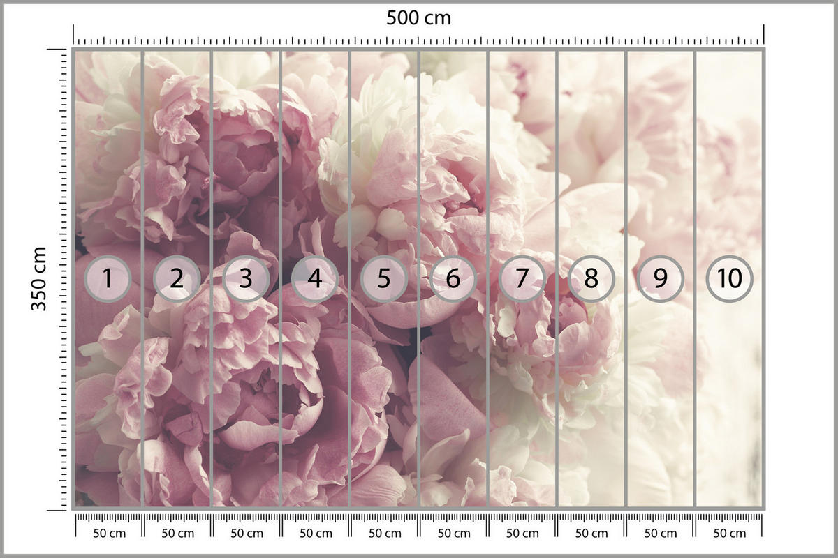 FOTOTAPETE Vintage-Pfingstrosen Blumen 3D 500x350 - Beige/Rosa, Papier (500/350cm) - Muralo