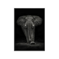 POSTER mit Rahmen Mario Moreno - Ngorongoro Bull - Dunkelgrau/Schwarz, Holz/Papier (50/70cm) - Poster&Frame