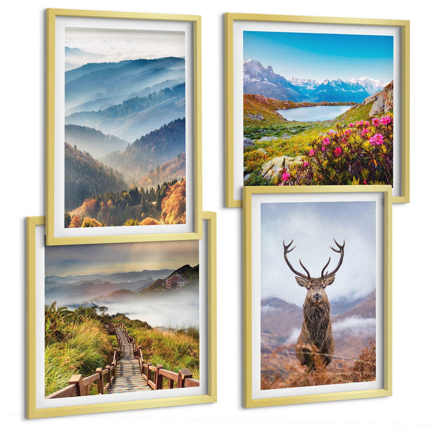 BILDER SET 4er Set - 50x50 cm & 40x60 cm Goldrahmen - Berglandschaft, See, Hirsche - Goldfarben, Kunststoff (50/50cm) - TULUP
