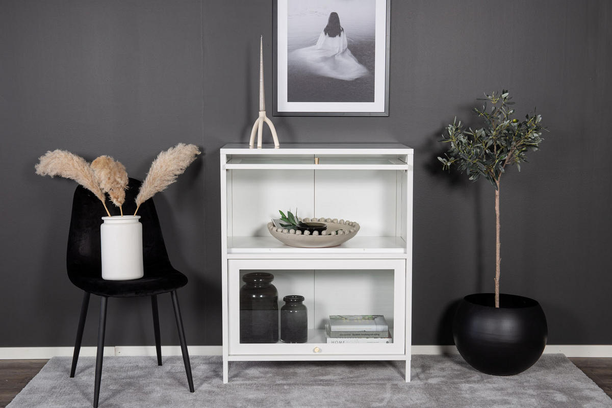 VITRINE weiß - Weiß, Holzwerkstoff (80/100/40cm) - ebuy24
