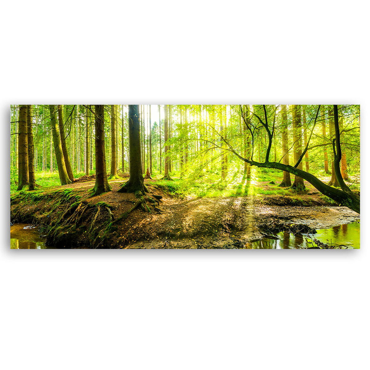 KUNSTDRUCK Grün 150/50 cm - Grün, Textil (150/50cm) - KUNSTLOFT