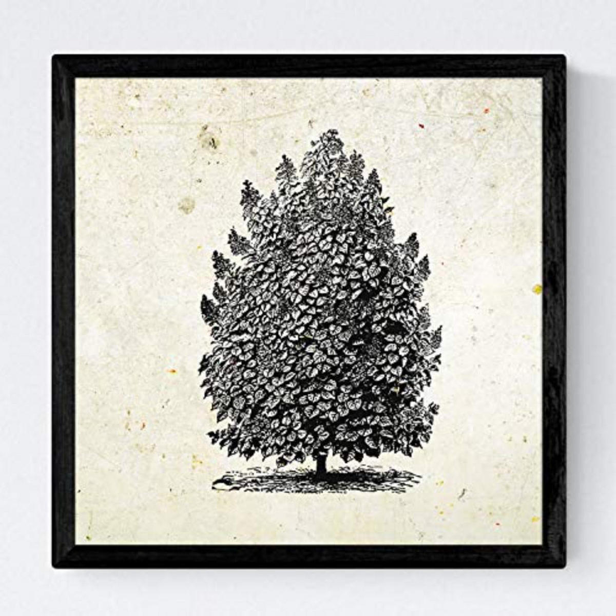 POSTER Set mit 4 Blättern der Hohe Bäume Jahrgang Hintergrund 20x20cm Rahmenlos - Klar, Papier (20/3cm) - Nacnic