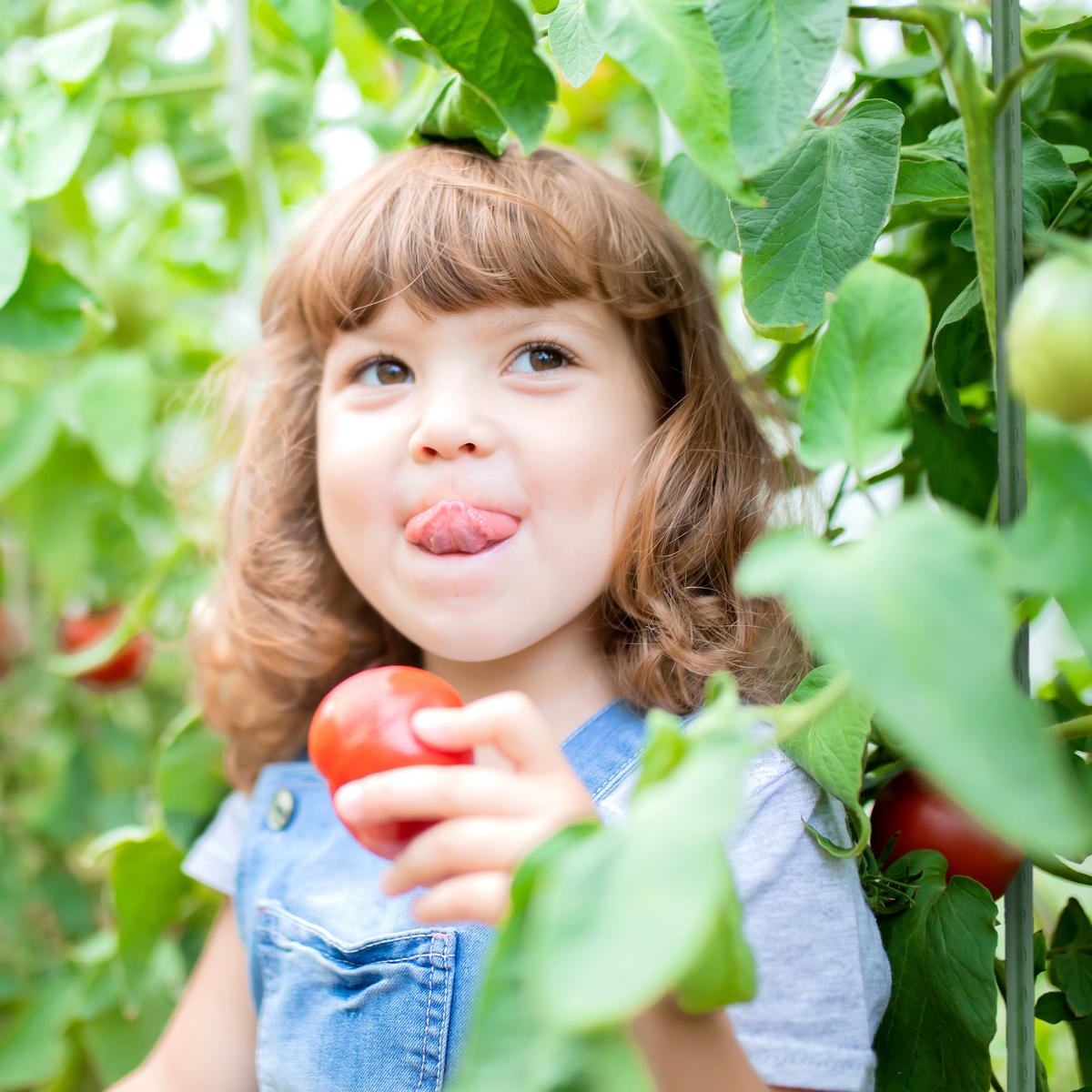 10XPFLANZSTÄBE - Dunkelgrün, Kunststoff/Metall (1/120/1cm) - Relaxdays