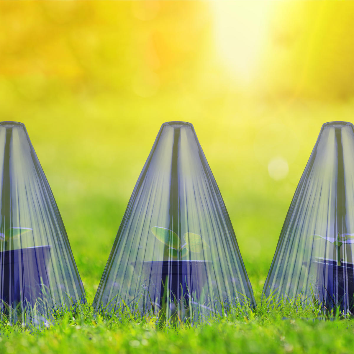 32XPFLANZENHUT - Lila, Kunststoff (19/22/19cm) - Relaxdays