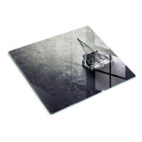 GLASPLATTE 60x52 cm Boxhandschuhe - Schwarz, Glas (60/0.4/52cm) - TULUP