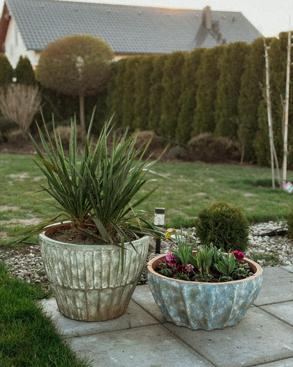 KVĚTINÁČ Modrý Ostrya - modrá, přírodní materiály (24cm) - Beliani