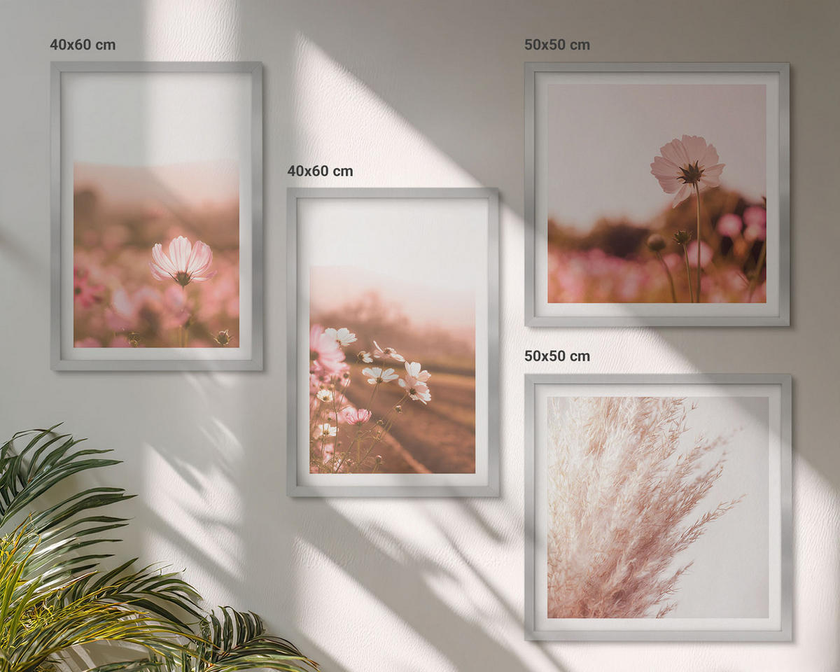 BILDER SET 4er Set - 50x50 cm & 40x60 cm Silberner Rahmen - Wildblumen auf den Wiesen im Sommer - Silberfarben, Kunststoff (50/50cm) - TULUP