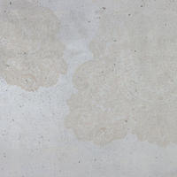 FOTOTAPETE Beton 300 x 280 cm - Grau, Papier (300/280cm) - Sanders & Sanders