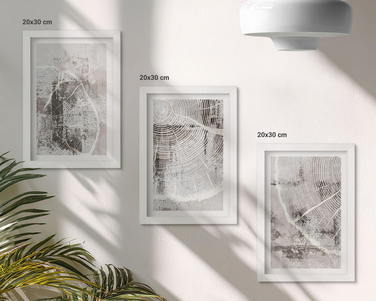 WANDBILDER 3er-Set - 20x30 cm Weißer Rahmen - Graue Holzmaserungsmuster - Weiß, Kunststoff (20/30cm) - ArtPrintCave