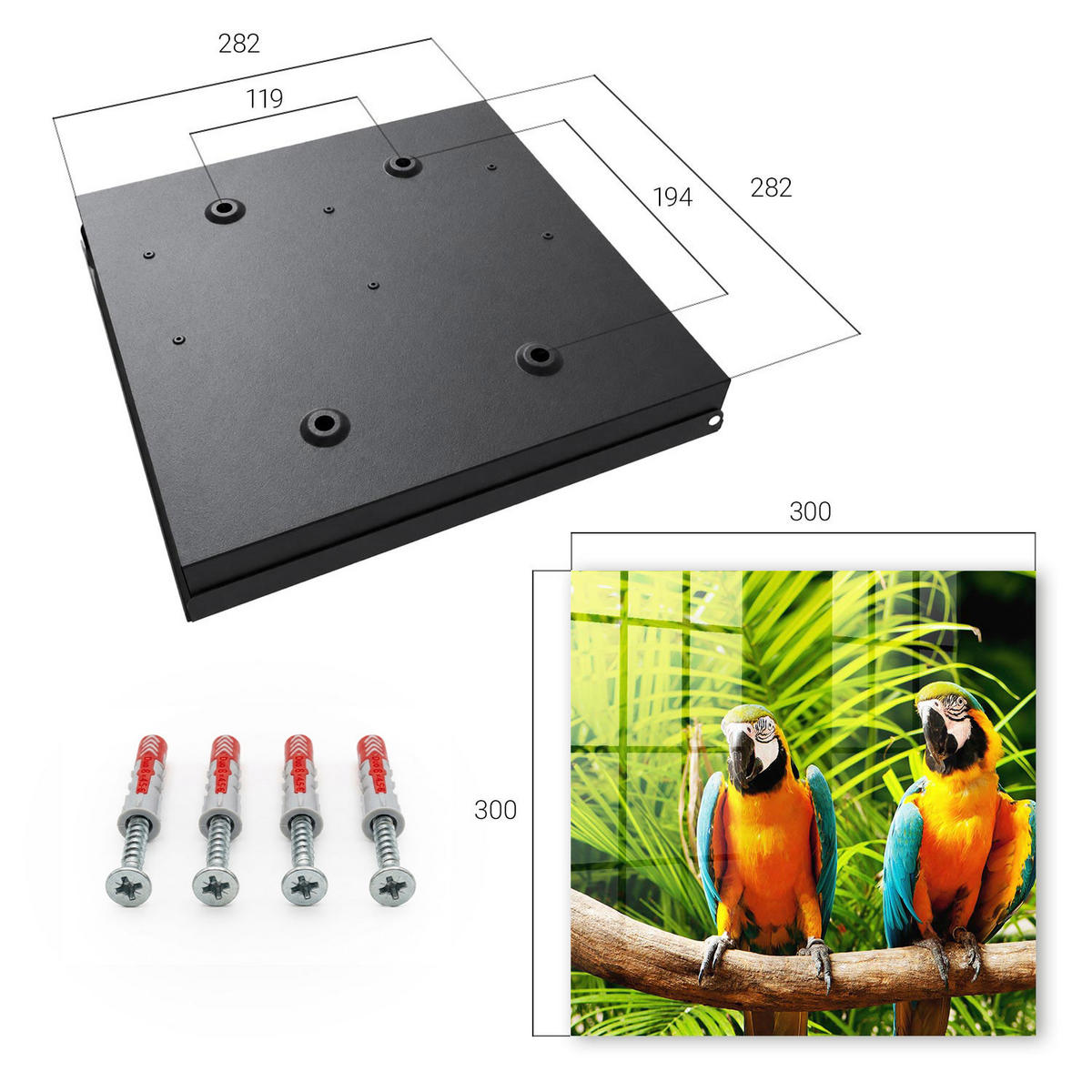 SCHLÜSSELBOX Schwarz 30x30 cm- Türöffnung nach rechts - Tropische Vögel - Grün, Metall (30/30/5cm) - TULUP