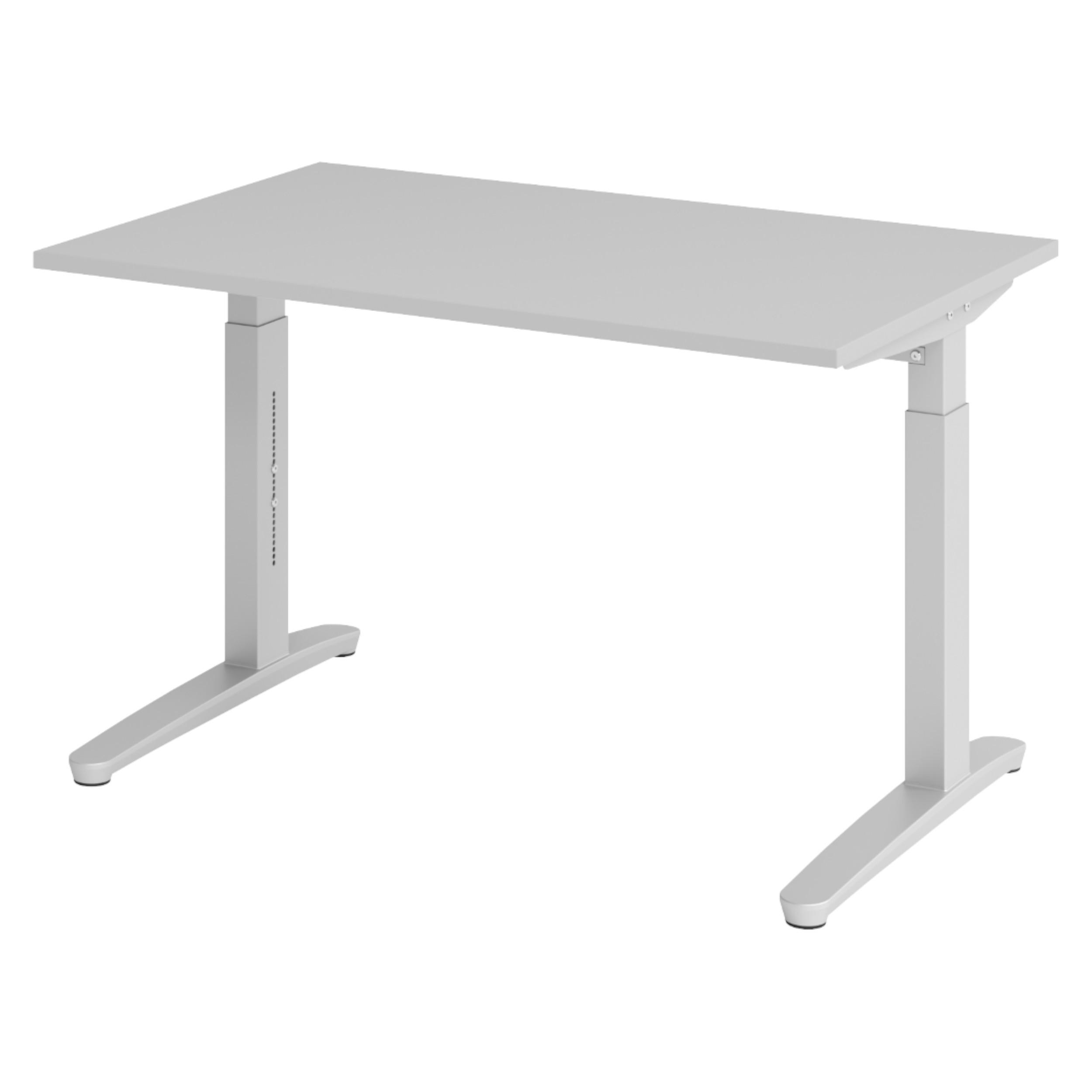 SCHREIBTISCH Serie-XB 80/120/74 cm in Grau/Silberfarben - Silberfarben/Grau, Holzwerkstoff (80/120/74cm) - bümö