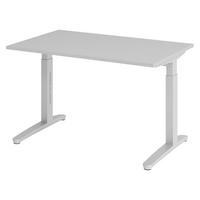 SCHREIBTISCH Serie-XB 80/120/74 cm in Grau/Silberfarben - Silberfarben/Grau, Holzwerkstoff (80/120/74cm) - bümö