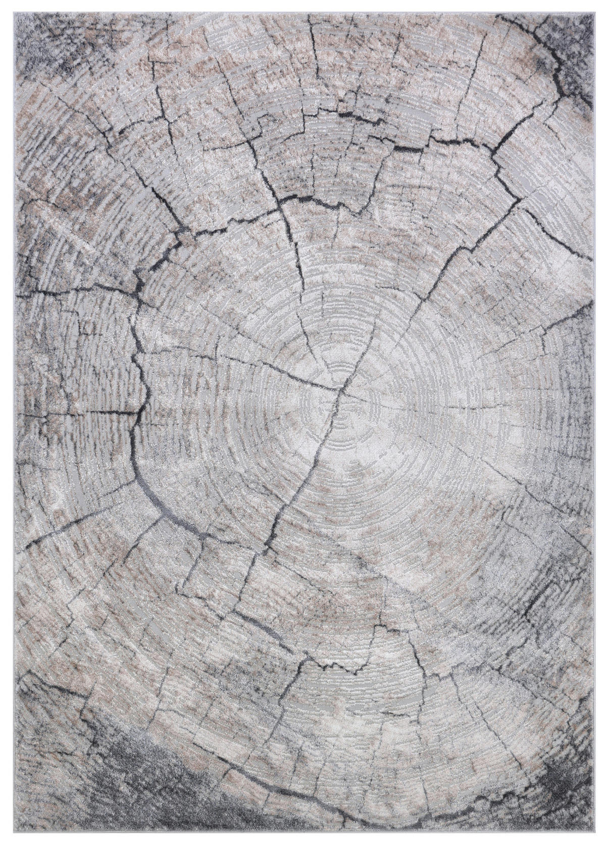 TEPPICH COMO Dunkelbeige 200/300 cm - Dunkelbraun, Kunststoff (200/300cm) - Tapiso