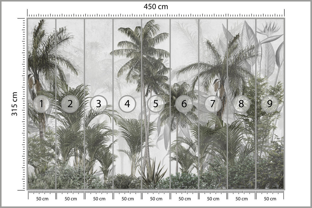 FOTOTAPETE für Wohnzimmer Natur Hohe Palmen Bäume Tropisch 450x315 - Grau/Grün, Papier (450/315cm) - Muralo