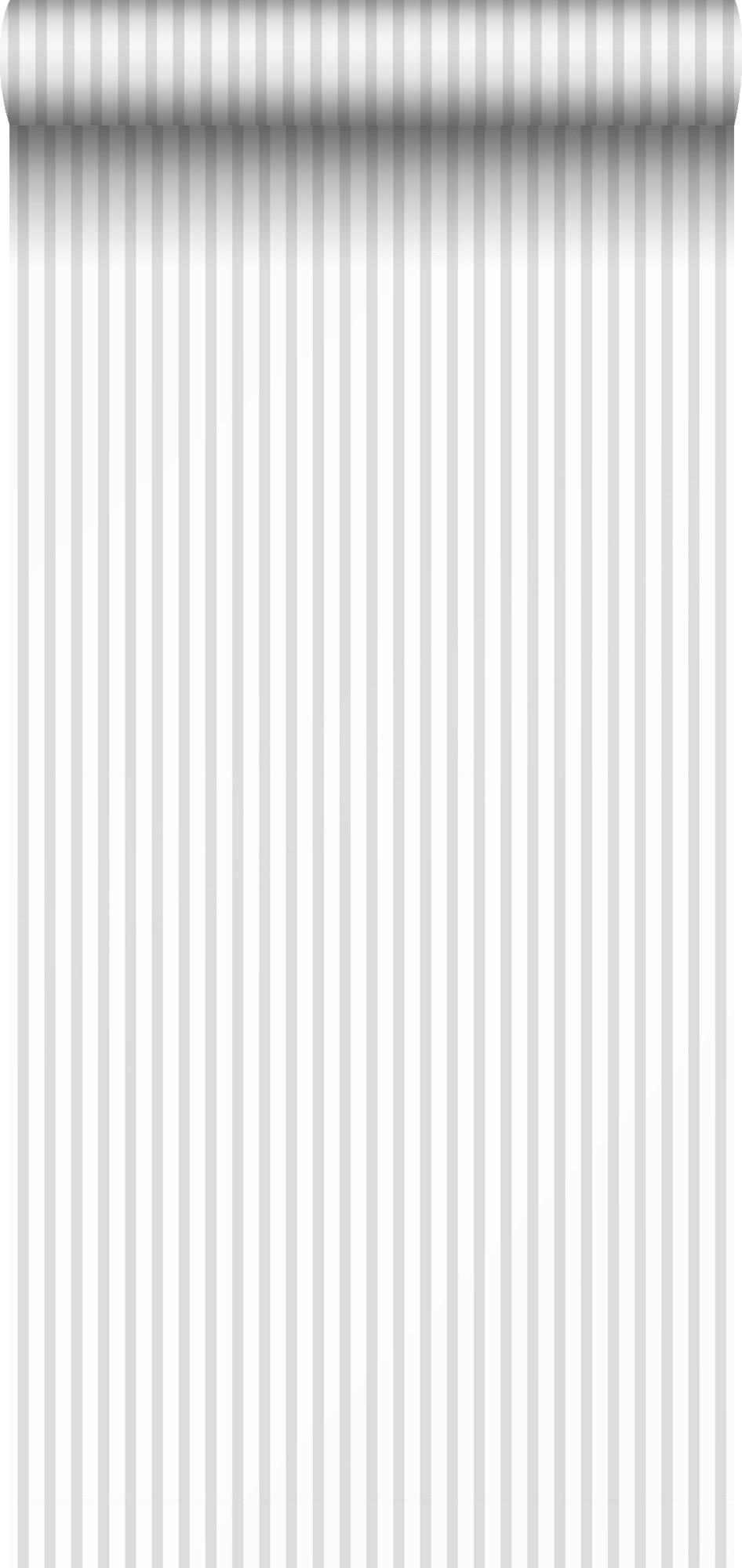 TAPETE Streifen 53 cm x 10 m - Grau, Papier (53/1000cm) - Sanders & Sanders