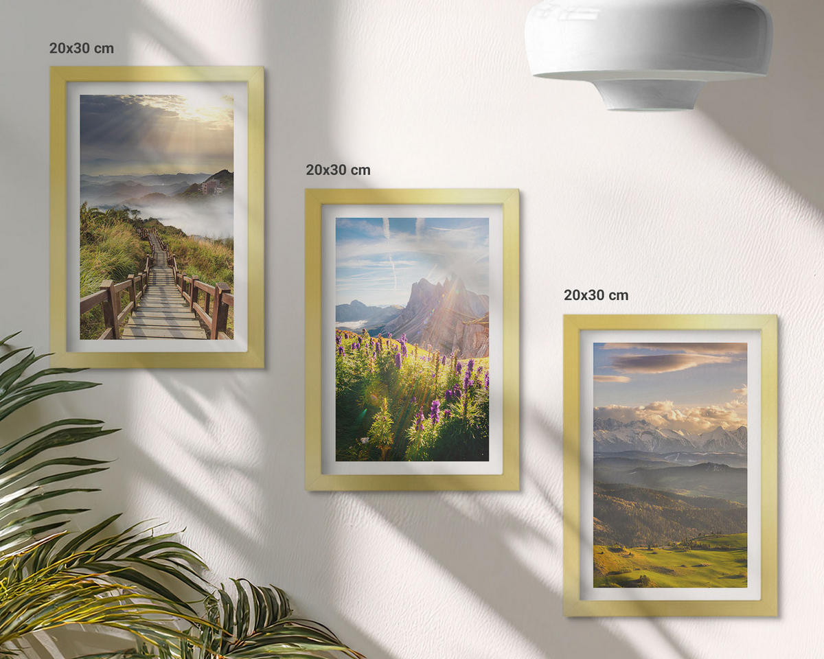 BILDER SET 3er Set - 20x30 cm Goldrahmen - Berglandschaft mit Blumen - Goldfarben, Kunststoff (20/30cm) - TULUP