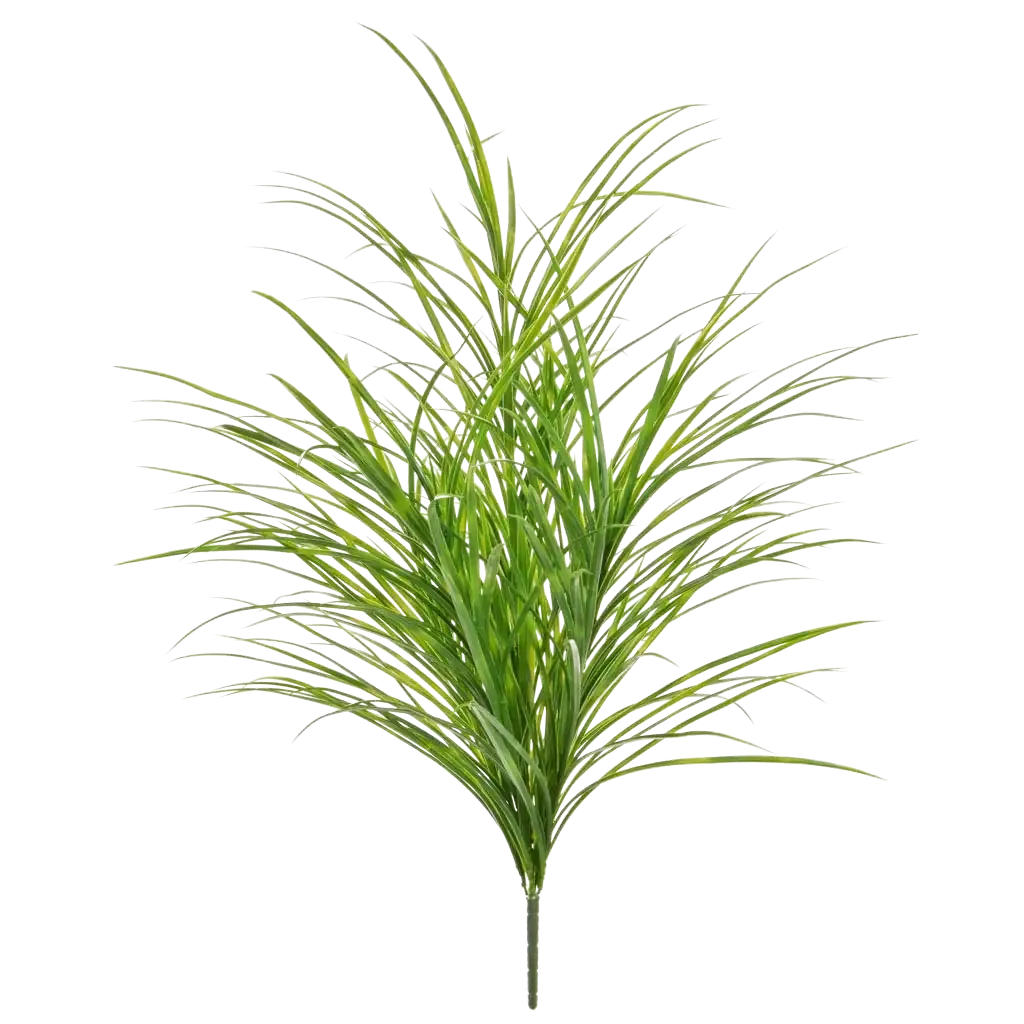 KUNSTPFLANZE Künstliches Gras - Bernd 80 cm - Grün, Kunststoff (80cm) - aplanta