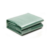 ERSATZABDECKUNG für Foliengewächshaus 18m² - 600 x 300 x 200 cm - IPOMEA - Grün, Kunststoff (600/200/300cm) - Vente-Unique