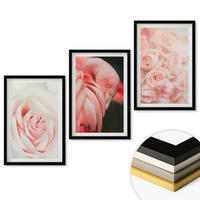 WANDBILDER 3er-Set - 40x60 cm Schwarzer Rahmen - Zartrosa Flamingos - Schwarz, Kunststoff (40/60cm) - ArtPrintCave