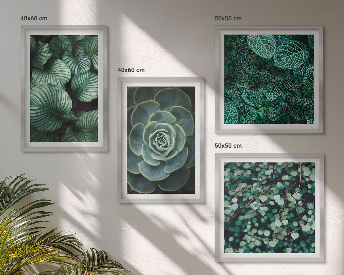 WANDBILDER 4er Set - 50x50 cm & 40x60 cm Silberner Rahmen - Grüne, saftige Blätter - Silberfarben, Kunststoff (50/50cm) - ArtPrintCave