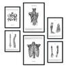 POSTER Set Mit 6 Anatomie Muskeln, Bein, Arm, Wirbelsäule, Becken A3 & A4 Rahmenlos - Klar, Papier (29/3cm) - Nacnic