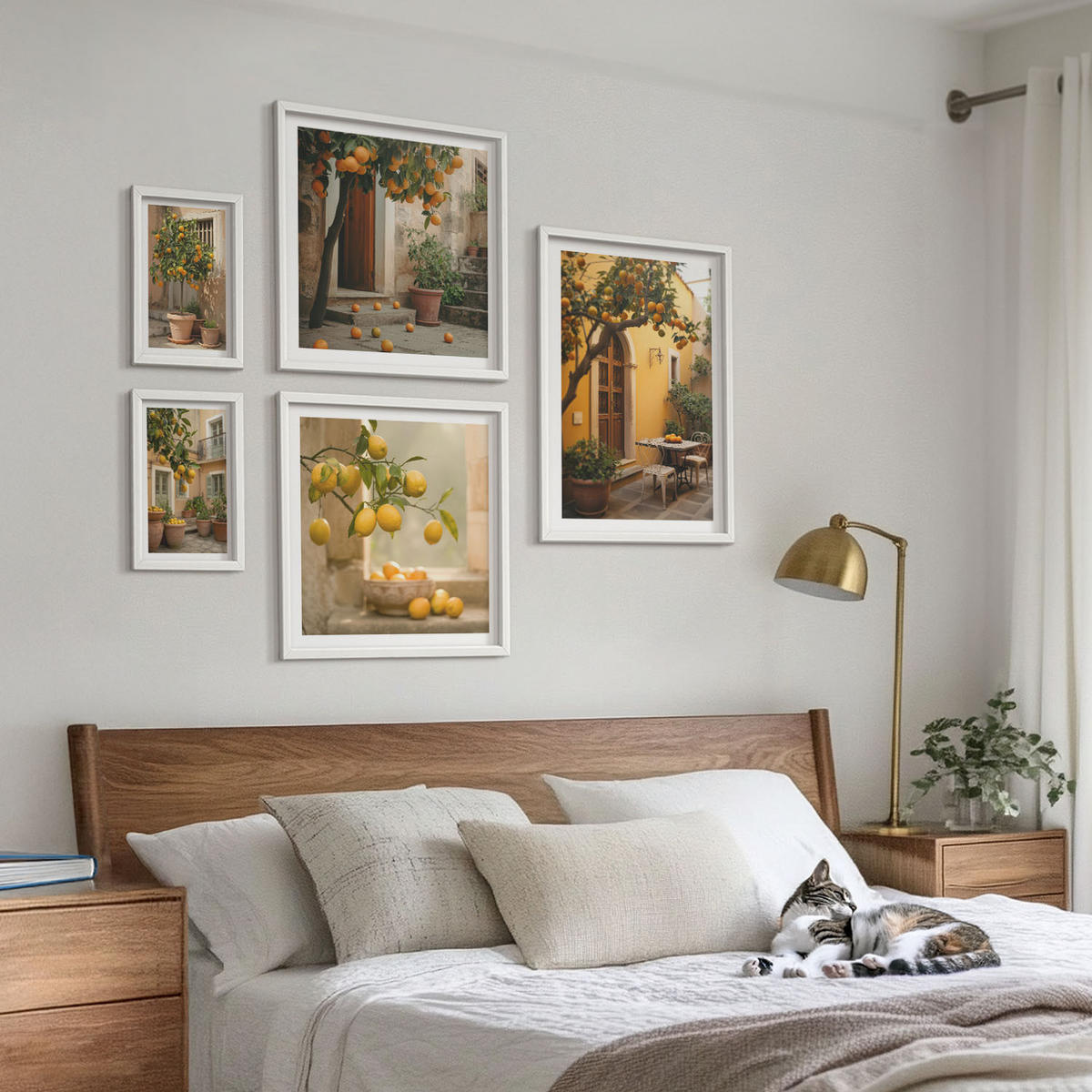 WANDBILDER 5er-Set - 50x50 cm & 20x30 cm & 40x60 cm Weißer Rahmen - Terrasse mit Zitrusbäumen - Weiß, Kunststoff (40/60cm) - ArtPrintCave