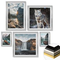 WANDBILDER 5er Set - 50x50 cm & 20x30 cm & 40x60 cm Silberner Rahmen - Berge, Seen, Wasserfall, Wolf - Silberfarben, Kunststoff (40/60cm) - ArtPrintCave