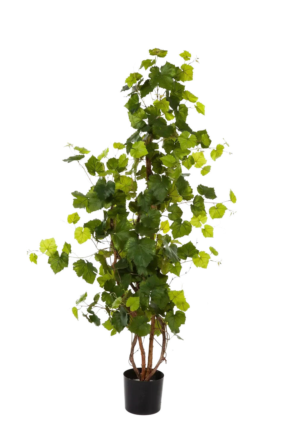 KÜNSTLICHE Weinrebe - Roman 120 cm - Grün, Kunststoff (120cm) - aplanta