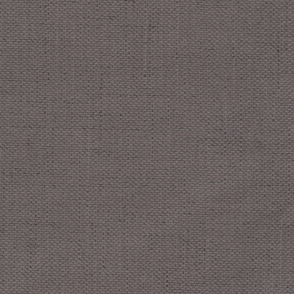 SOFA 3-Sitzer, Komfort, BALOO, Stoff Schenille, Grau - Grau, Holz (222/75/106cm) - Kaiser Möbel