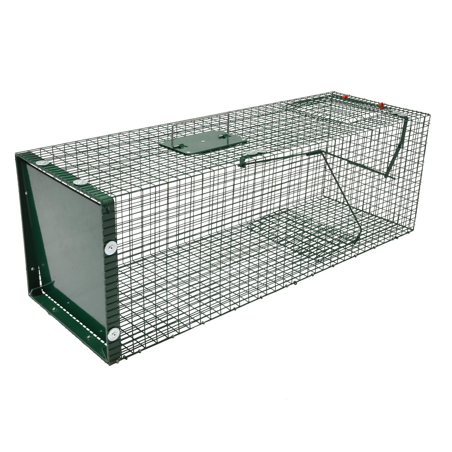 MOORLAND Safe 5002 Lebendfalle 30x30x90 cm – 1 Eingang, 1,8 mm Drahtgitter (RAL 6005) - Grün, Holz (30/30/90cm) - Moorland