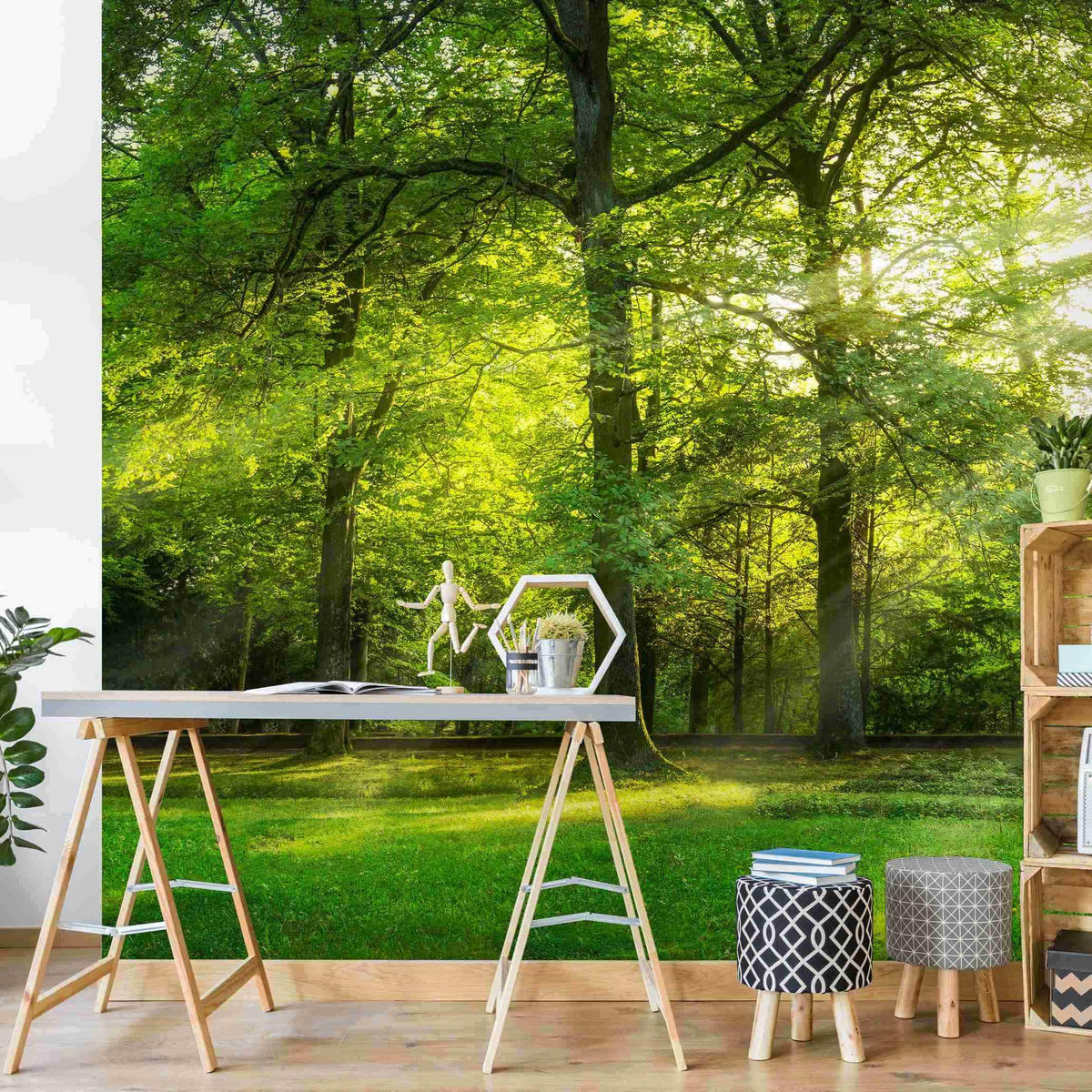 FOTOTAPETE Spaziergang im Wald 288/288 cm - Grün, Papier (288/288cm) - Bilderwelten