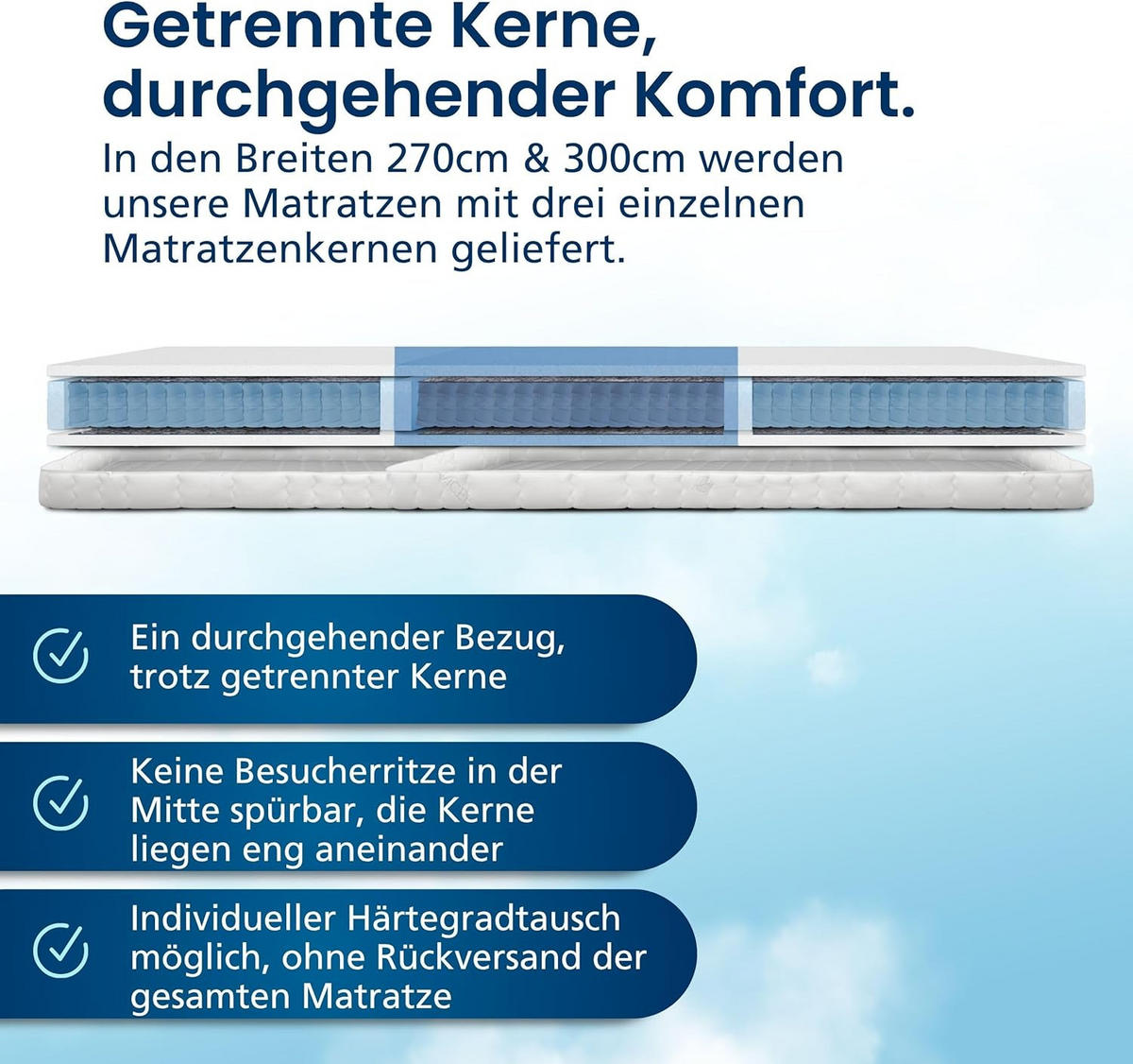 TASCHENFEDERKERNMATRATZE 1000 Federn 240/200 cm H2 - 24cm Höhe & Tencel Bezug - Weiß, Textil (240/200cm) - AM Qualitätsmatratzen