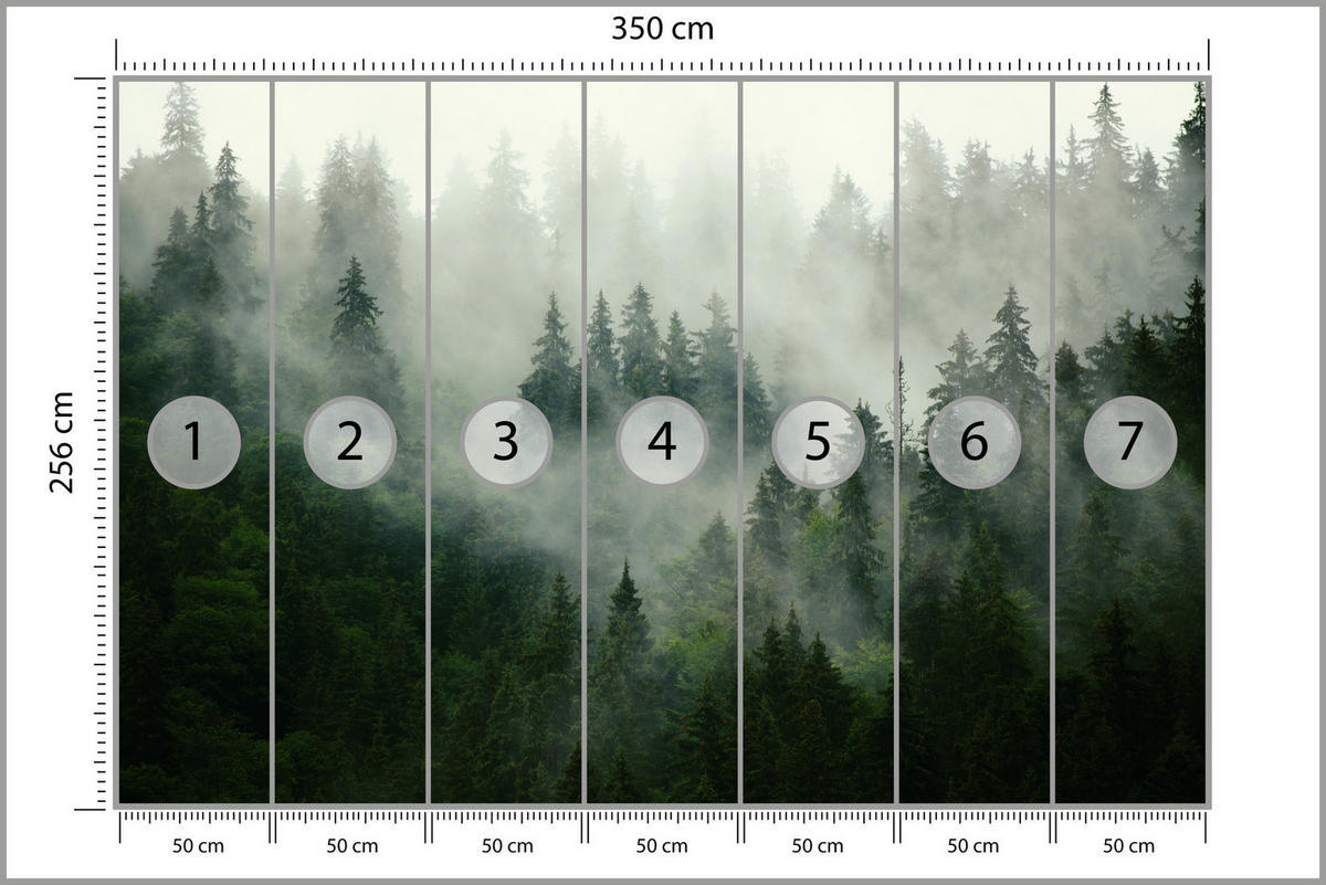 FOTOTAPETE Wald im Nebel Natur Landschaft 3D 350x256 - Grau/Grün, Papier (350/256cm) - Muralo