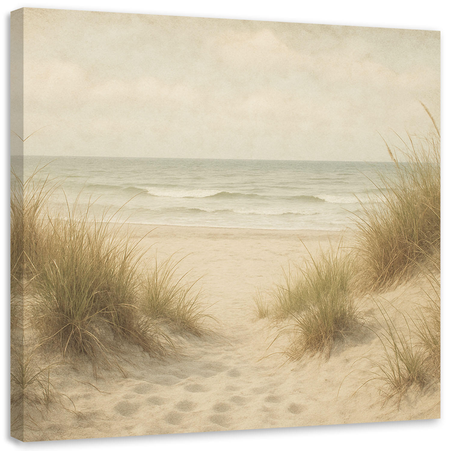 LEINWANDBILD Dünen Strand Landschaft 60x60cm - Beige, Textil (60/60cm) - Feeby