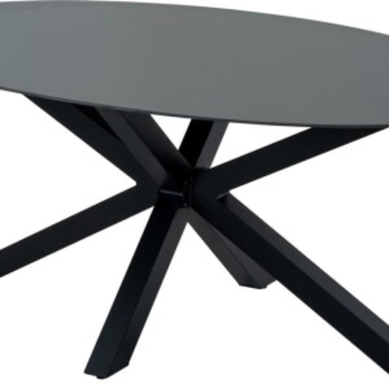 GARTENTISCH Crest - Schwarz - 180/100/73 cm - Schwarz, Glas (180/100/73cm) - Lesli Living