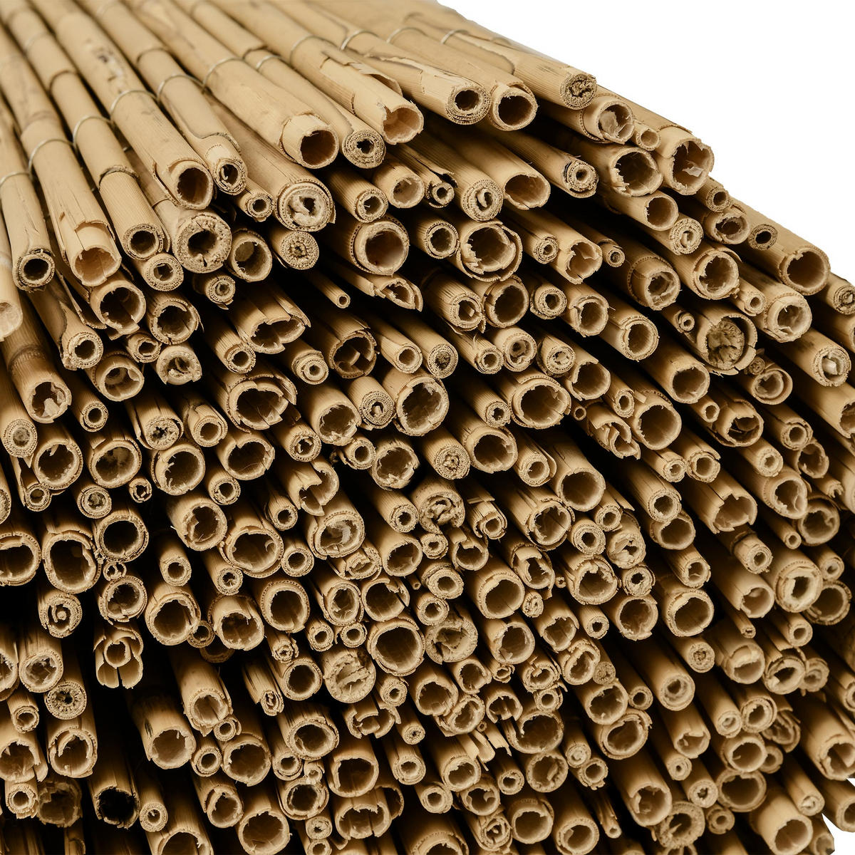 SICHTSCHUTZZAUN SolVision S36 180/600 cm Schilf - Naturfarben, Kunststoff (600/180cm) - Sol Royal