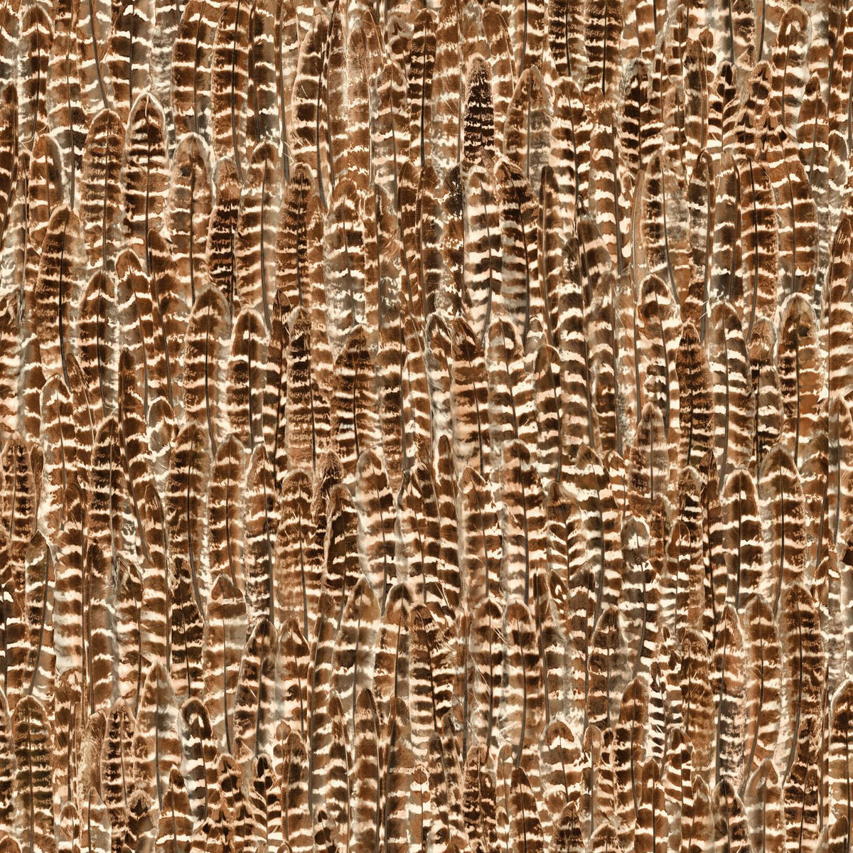 TAPETE Federn 53 cm x 10.05 m - Orange, Papier (53/1000cm) - Origin Wallcoverings