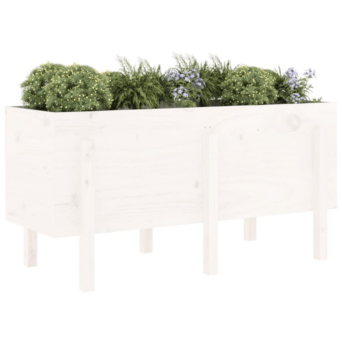 HOCHBEET Weiß 121x50x57 cm Massivholz Kiefer - Weiß, Holz (50/57/121cm) - furnicato