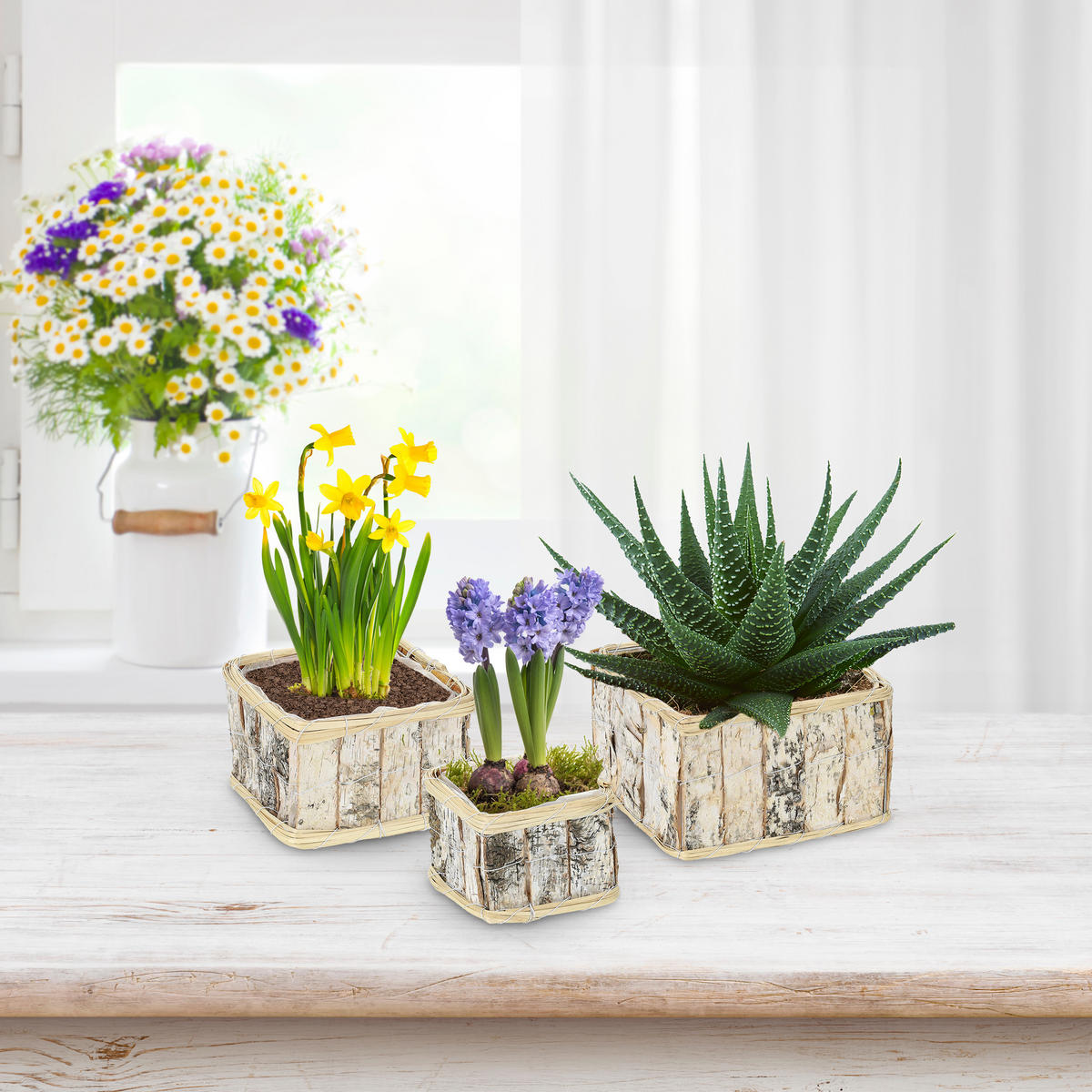 3XBLUMENTOPF - Multicolor, Holz/Textil (22.5/14/22.5cm) - Relaxdays