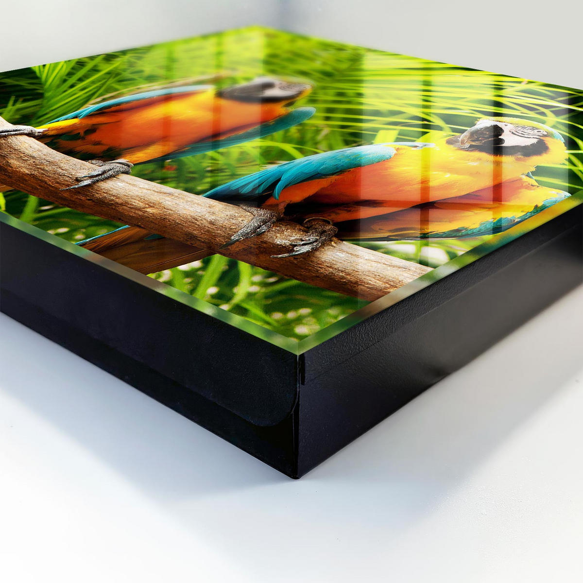 SCHLÜSSELBOX Schwarz 30x30 cm- Türöffnung nach rechts - Tropische Vögel - Grün, Metall (30/30/5cm) - TULUP