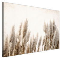 LEINWANDBILD Pampasgras 120x80 cm - Multicolor, Holz (120/80cm) - LUMASOUL