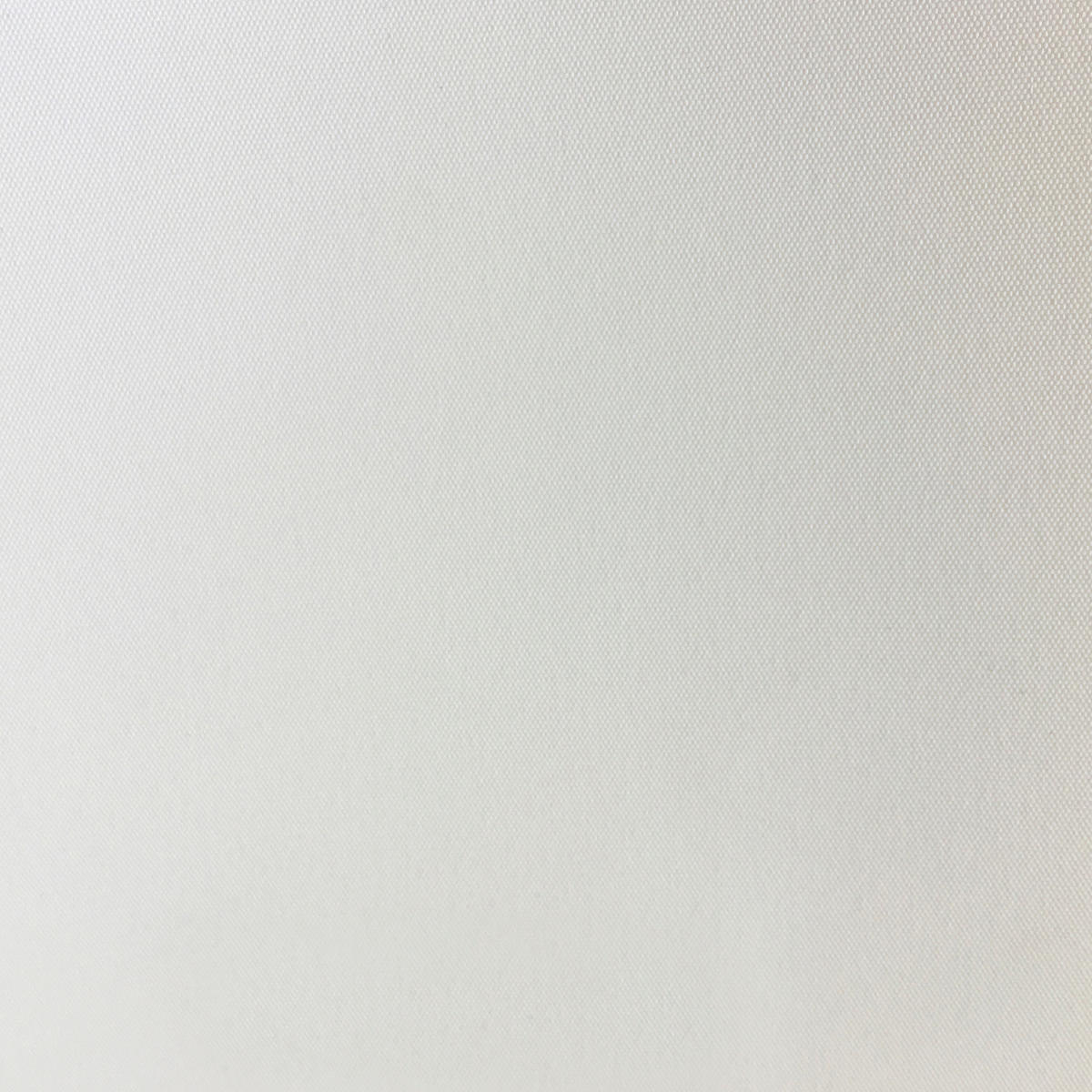 VERDUNKELUNGS- und Thermorollo Sundusk - Weiß, Textil (150/250/250cm) - VIEWTEX