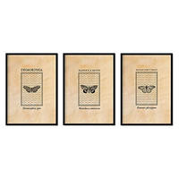 POSTER Set Mit 3 Insekten Blätter A4 Rahmenlos - Klar, Papier (29.7/5/21cm) - Nacnic