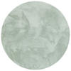 FELLTEPPICH SUPER SOFT PEARL RUND - Grün, Textil (200/200cm) - Pergamon