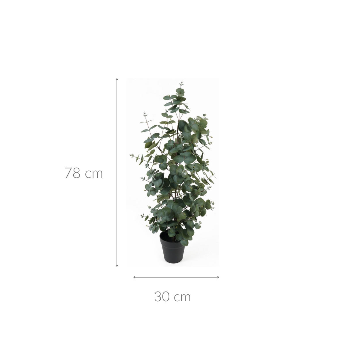 DEKOPFLANZE Eucalyptus Leaf 30/30/78 cm - Grün, Kunststoff (78cm) - Present Time