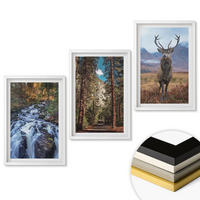 WANDBILDER 3er-Set - 40x60 cm Weißer Rahmen - Wasserfall Wald Berge Hirsch Natur - Weiß, Kunststoff (40/60cm) - ArtPrintCave